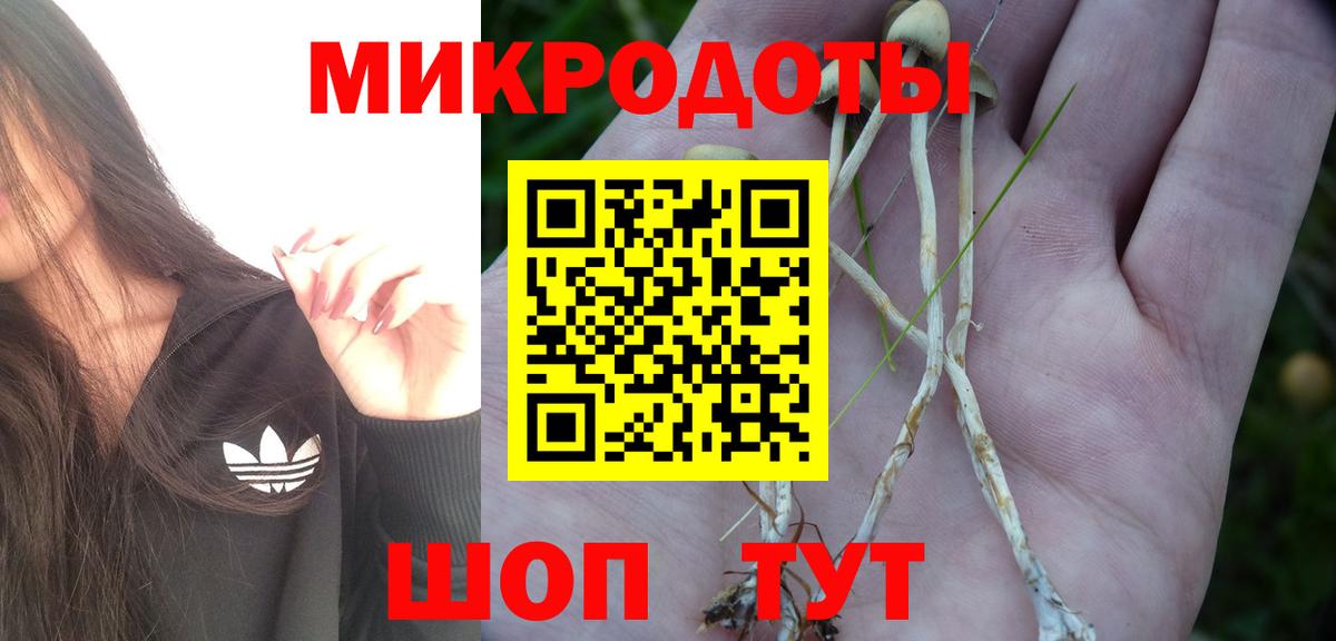 Псилоцибиновые грибы Cubensis Торжок