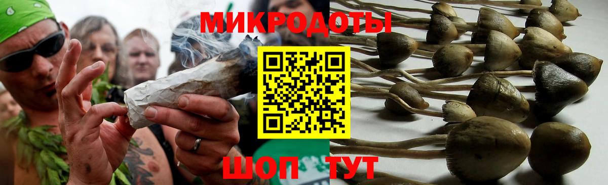 Торжок  Галлюциногенные грибы Cubensis  Вход с VPN  Псилоцибиновые грибы GOLDEN TEACHER 